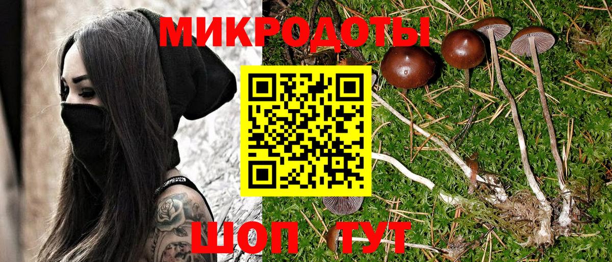 Галлюциногенные грибы Magic Shrooms Ногинск